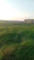 Half Plot for Sale in Tetegu - 1