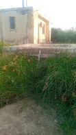 Half Plot for Sale in Tetegu - 3