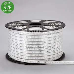 100m Multi-Color Rope Light