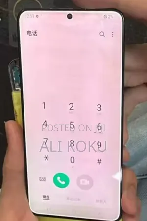 Samsung S22 Screen with Burn
