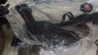 Brand New Exercise Bike - 1
