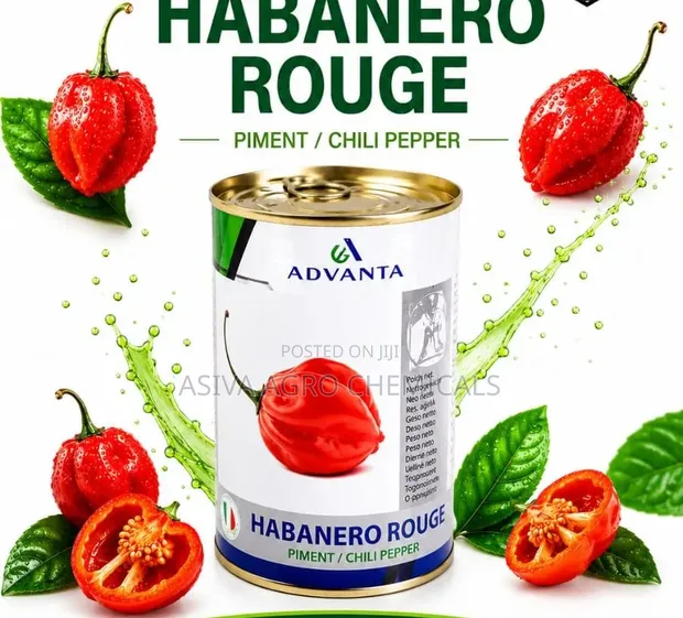 Red Habanero Pepper Seeds (50g) - 1