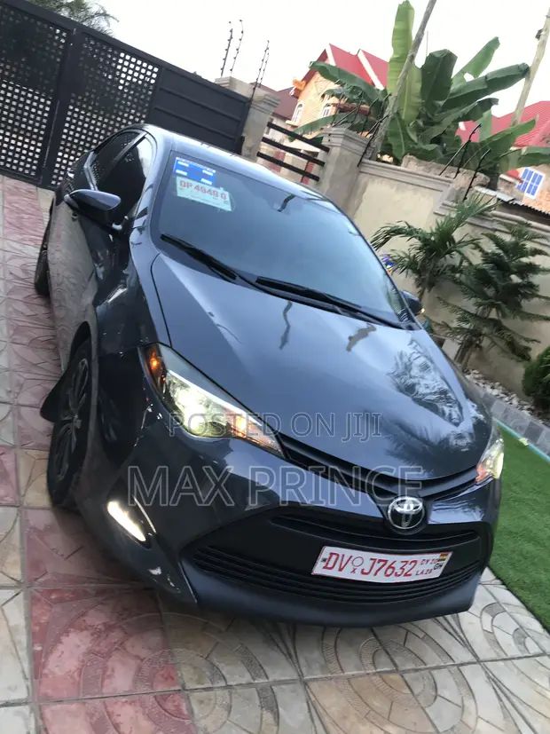 Toyota Corolla LE Eco 2019 Gray - 1