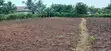 Residential Plot for Sale in Mampong Ashanti - 5