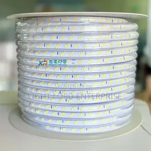 100m Single Color Rope Light (Warm/White/Blue/Green)