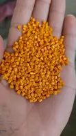 Colored Masterbatch Supply - 5