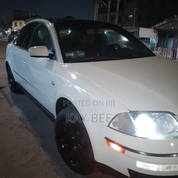Volkswagen Passat 2003 White - 1