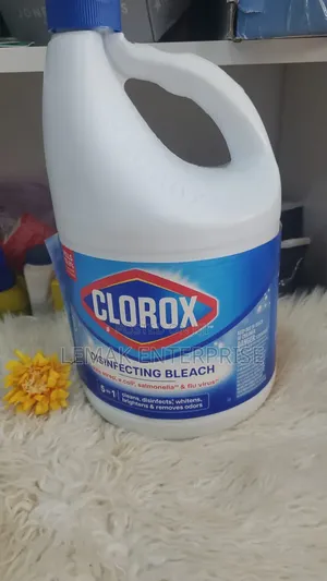 Clorox Disinfecting Bleach - 5-in-1 Formula