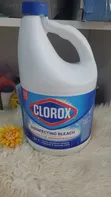 Clorox Disinfecting Bleach - 5-in-1 Formula - 2