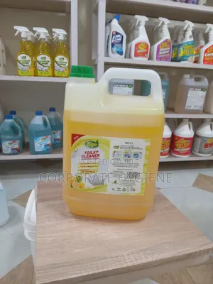 Wipe Toilet Cleaner - Corporate Hygiene