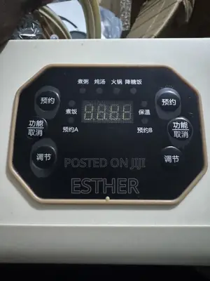 Accurate 2-in-1 Electric Rice Cooker