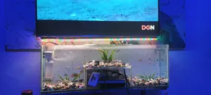 Custom Aquarium Building Services
