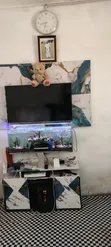 Custom Aquarium Building Services - 2