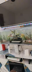 Custom Aquarium Building Services - 3