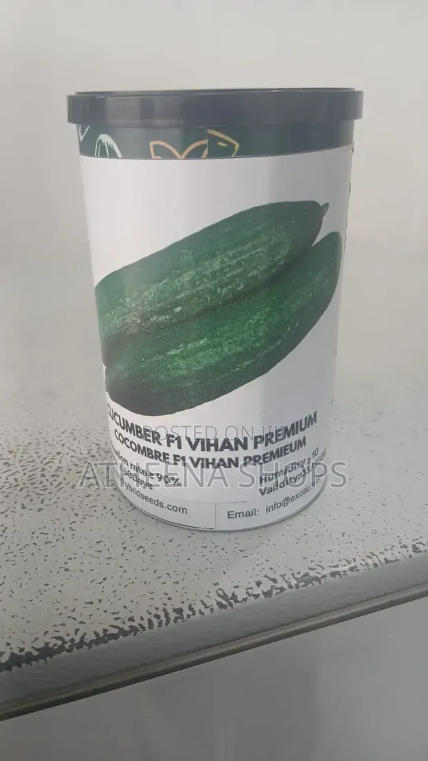 F1 Vihan Cucumber Seeds - 1