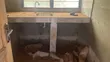 1 Bedroom House for Rent in Nananom, Mfantsiman Municipal - 3