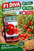F1 Tomato Seeds (50g) - Diva Praghati Hybrid - 1