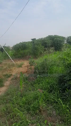 Plots of Land for Sale in Oyibe, Valley View Area