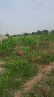 Plots of Land for Sale in Oyibe, Valley View Area - 2