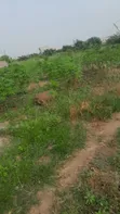 Plots of Land for Sale in Oyibe, Valley View Area - 4