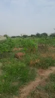 Plots of Land for Sale in Oyibe, Valley View Area - 5