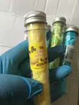 Creative Cartoon Test Tube Soap Flowers - 3