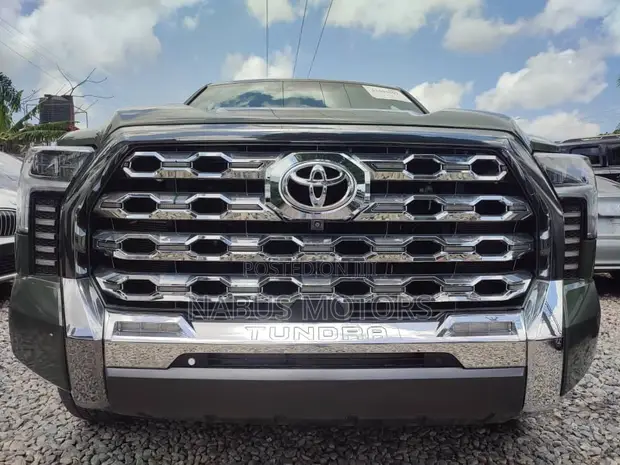 Toyota Tundra 1794 Edition 2022 - 1