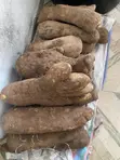 Fresh Farm Pona Yams - Top Quality - 5
