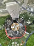 Hoffman Commercial Blender - Brand New - 2