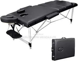 Modern Foldable Massage Bed/Table