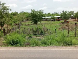 Poultry/Goat/Piggery Farm for Sale - Asante Akim North
