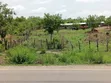 Poultry/Goat/Piggery Farm for Sale - Asante Akim North - 1