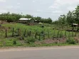 Poultry/Goat/Piggery Farm for Sale - Asante Akim North - 2