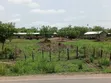 Poultry/Goat/Piggery Farm for Sale - Asante Akim North - 3
