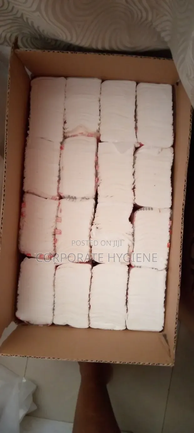 Corporate Hygiene Z-Fold Tissue - 25 Packs - 1