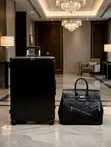Rimowa Aluminum Box + Hermes Birkin Cargo Inspired Bag - 2