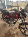 Royal RY125 Motorcycle 2026 Red - 3
