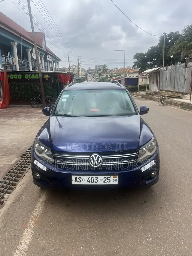 Volkswagen Tiguan 2016 Blue - 1