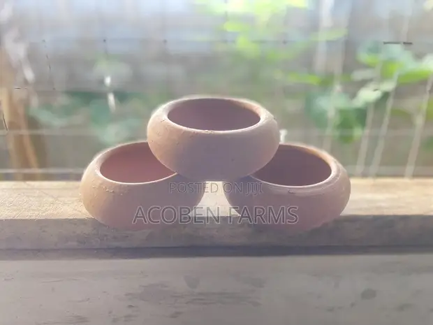 Rabbit Clay Feeding Pot - Brand New - 1