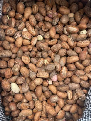 Bitter Cola Nut