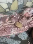Fresh Pork - Farm Direct - 2