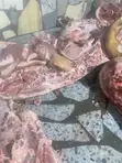 Fresh Pork - Farm Direct - 4