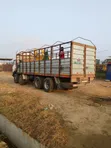 Moving Tata Truck for Sale - DAF Engine - 5