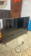 EL Dolphin Bay 43" LED TV - 2