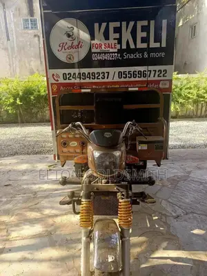 Apsonic AP150ZH-200 Sport Pro Tricycle