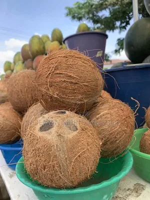 Organic Dry Coconut - 3 Pieces for GHS 50