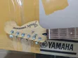 Fender Stratocaster Electric Guitar (Used) - 3