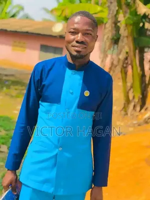 Victor Hagan - Accounting & Finance CV