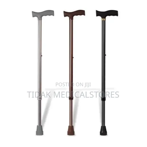 Walking Stick/Cane - 1