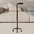 Quad Cane / Four-Legged Walking Stick - 3